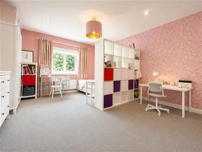 Picture 23
